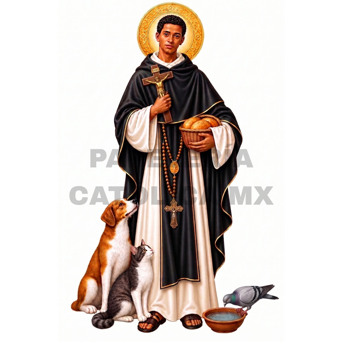 San Martín de Porres